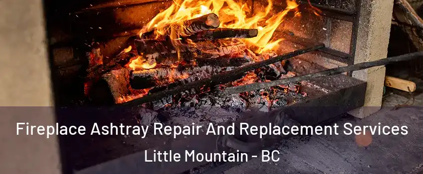  Fireplace Ashtray Repair And Replacement Services Little Mountain - BC