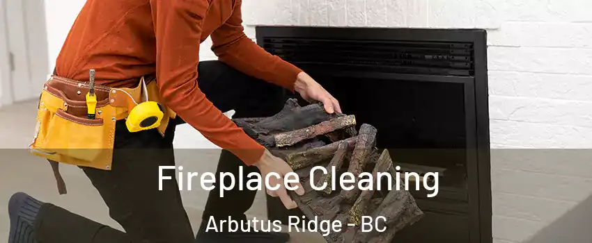 Fireplace Cleaning Arbutus Ridge - BC