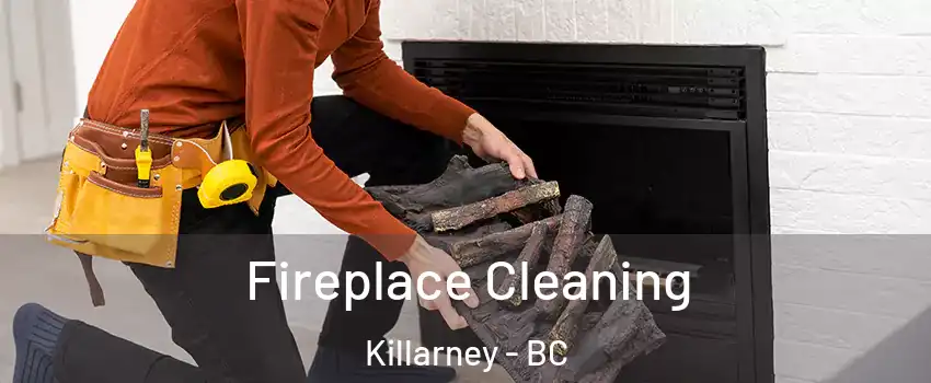  Fireplace Cleaning Killarney - BC