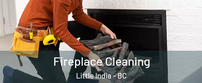  Fireplace Cleaning Little India - BC