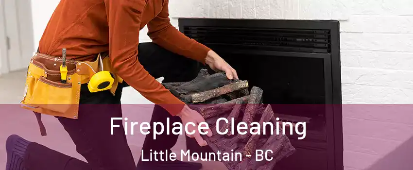  Fireplace Cleaning Little Mountain - BC