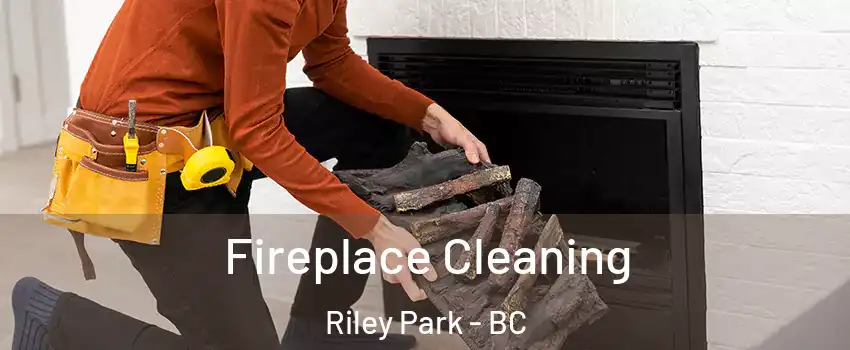  Fireplace Cleaning Riley Park - BC