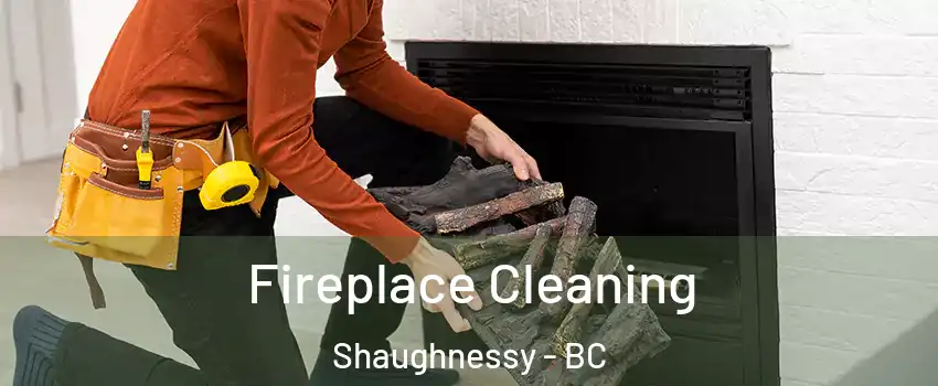  Fireplace Cleaning Shaughnessy - BC