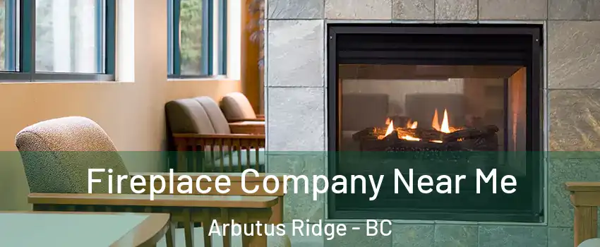  Fireplace Company Near Me Arbutus Ridge - BC