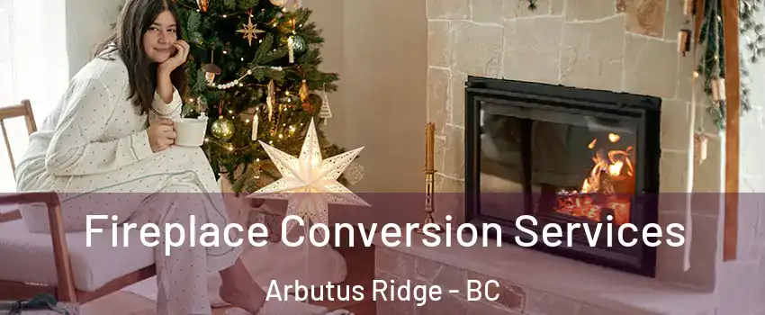  Fireplace Conversion Services Arbutus Ridge - BC