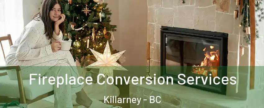  Fireplace Conversion Services Killarney - BC