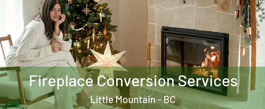  Fireplace Conversion Services Little Mountain - BC