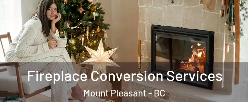  Fireplace Conversion Services Mount Pleasant - BC