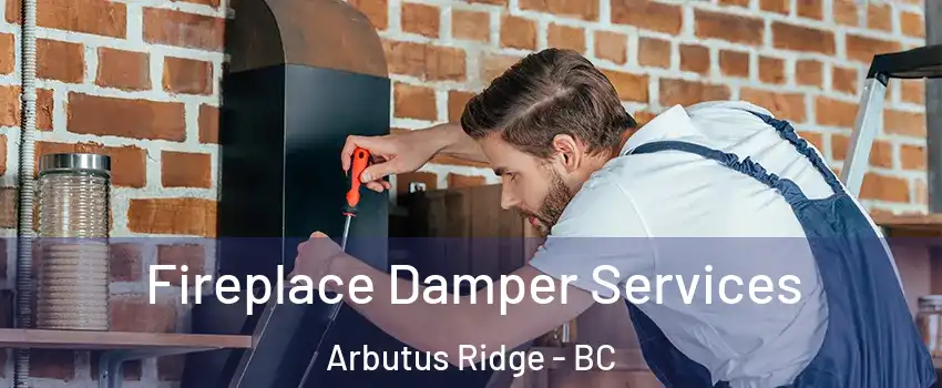  Fireplace Damper Services Arbutus Ridge - BC