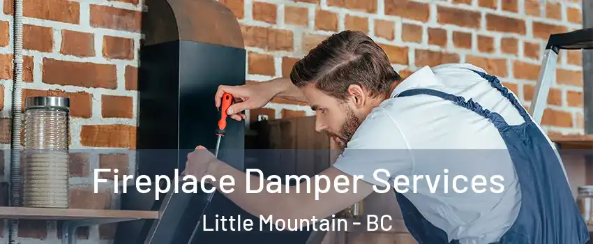  Fireplace Damper Services Little Mountain - BC
