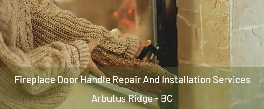  Fireplace Door Handle Repair And Installation Services Arbutus Ridge - BC
