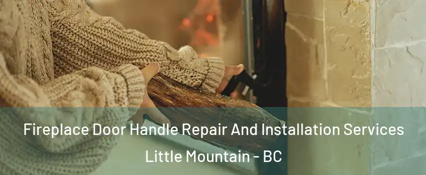  Fireplace Door Handle Repair And Installation Services Little Mountain - BC