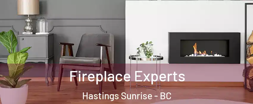  Fireplace Experts Hastings Sunrise - BC