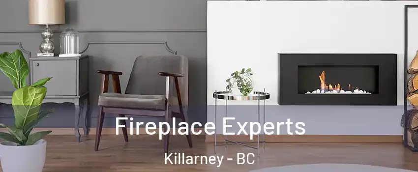  Fireplace Experts Killarney - BC