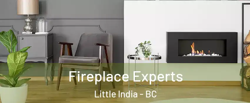  Fireplace Experts Little India - BC