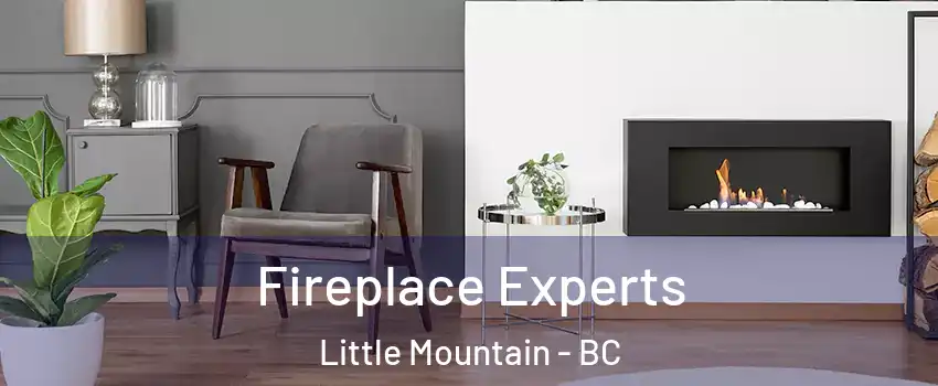  Fireplace Experts Little Mountain - BC