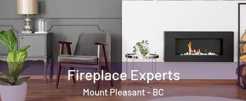  Fireplace Experts Mount Pleasant - BC