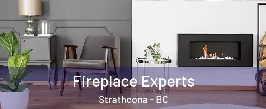  Fireplace Experts Strathcona - BC