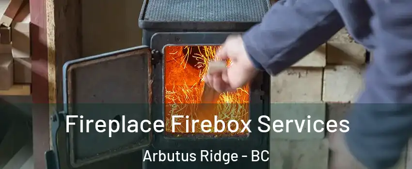  Fireplace Firebox Services Arbutus Ridge - BC