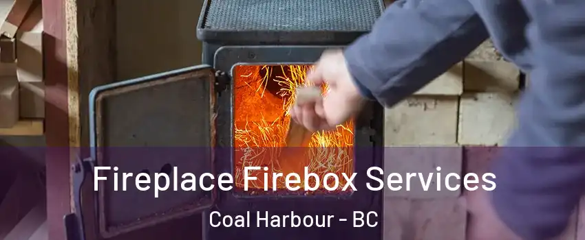 Fireplace Firebox Services Coal Harbour - BC