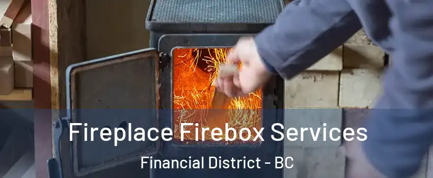  Fireplace Firebox Services Financial District - BC