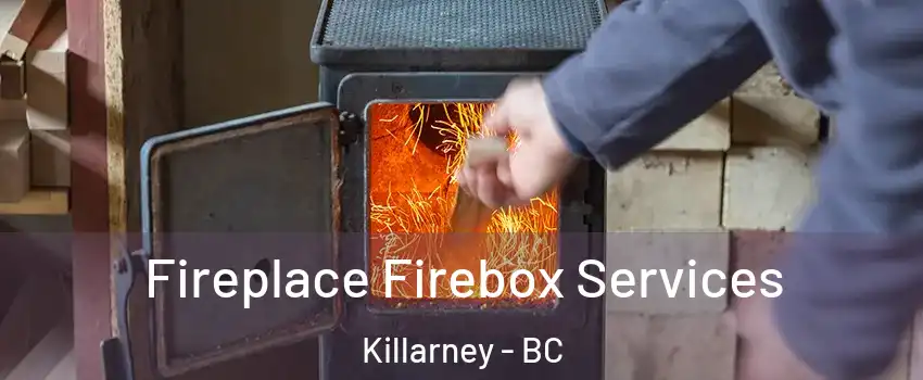  Fireplace Firebox Services Killarney - BC