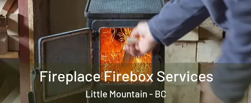  Fireplace Firebox Services Little Mountain - BC