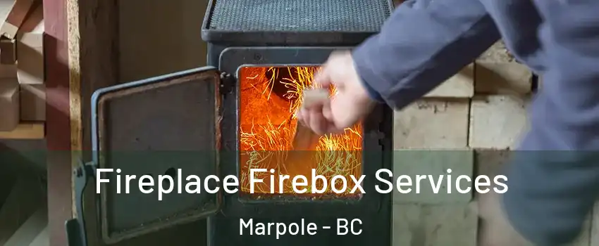  Fireplace Firebox Services Marpole - BC