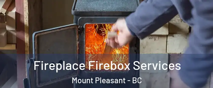  Fireplace Firebox Services Mount Pleasant - BC