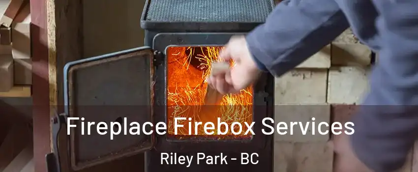  Fireplace Firebox Services Riley Park - BC