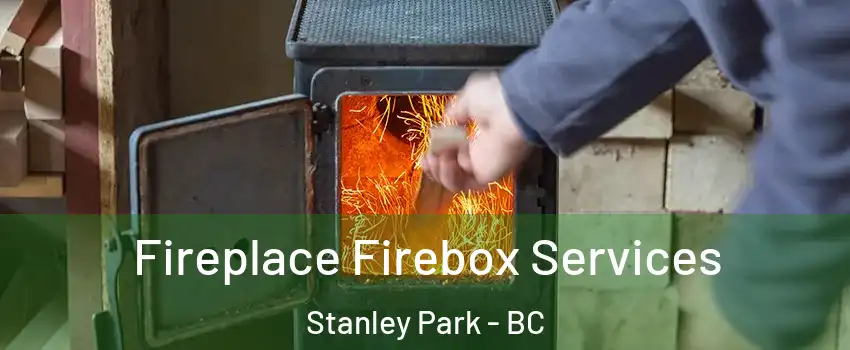  Fireplace Firebox Services Stanley Park - BC