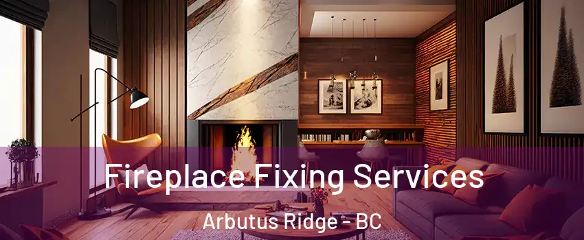 Fireplace Fixing Services Arbutus Ridge - BC