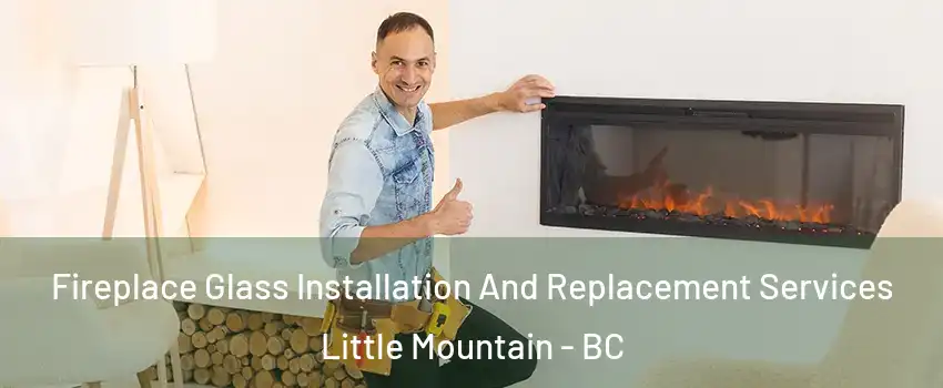  Fireplace Glass Installation And Replacement Services Little Mountain - BC