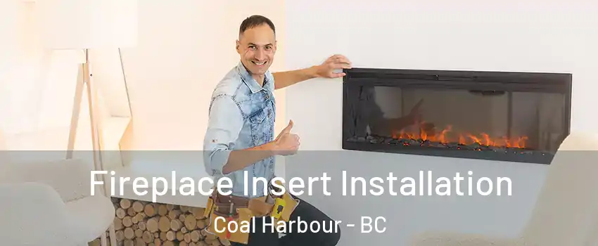  Fireplace Insert Installation Coal Harbour - BC