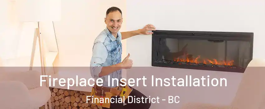  Fireplace Insert Installation Financial District - BC
