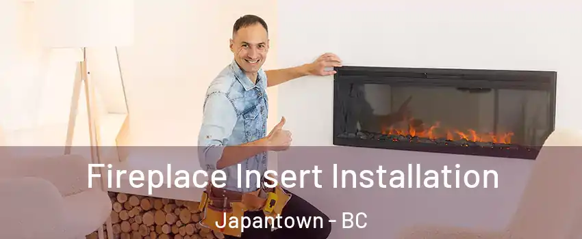  Fireplace Insert Installation Japantown - BC