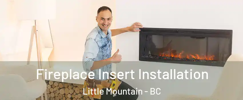  Fireplace Insert Installation Little Mountain - BC