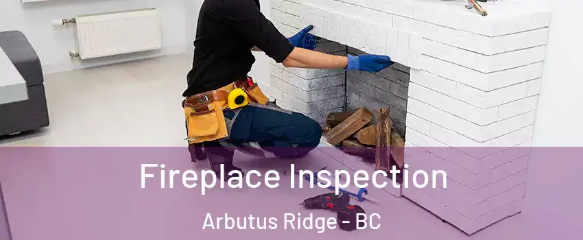  Fireplace Inspection Arbutus Ridge - BC