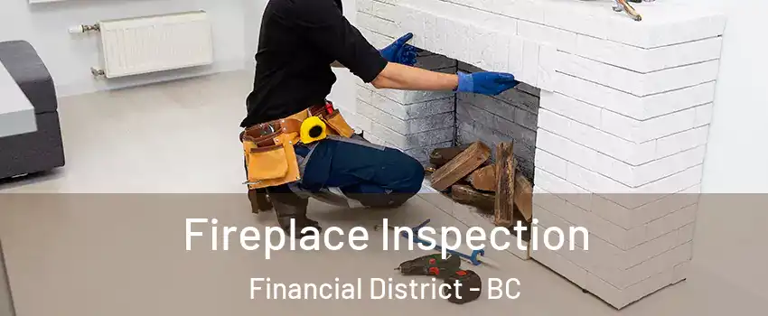 Fireplace Inspection Financial District - BC