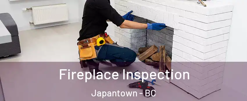  Fireplace Inspection Japantown - BC
