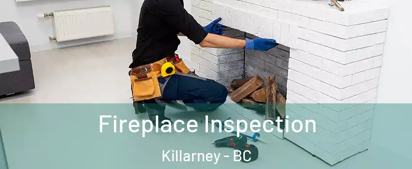  Fireplace Inspection Killarney - BC