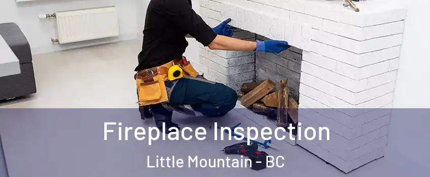  Fireplace Inspection Little Mountain - BC