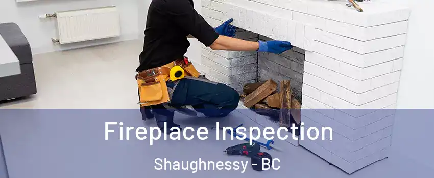  Fireplace Inspection Shaughnessy - BC