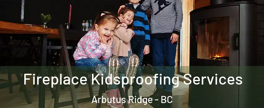  Fireplace Kidsproofing Services Arbutus Ridge - BC
