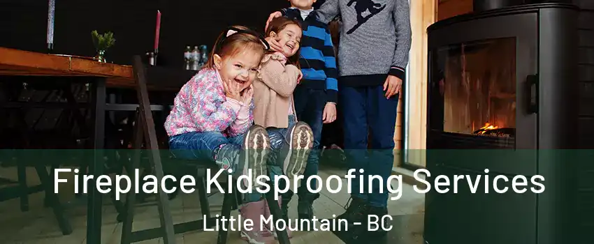  Fireplace Kidsproofing Services Little Mountain - BC