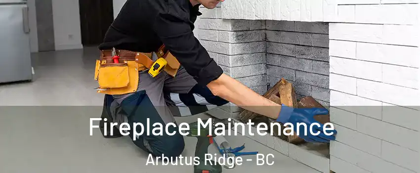  Fireplace Maintenance Arbutus Ridge - BC