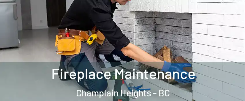  Fireplace Maintenance Champlain Heights - BC