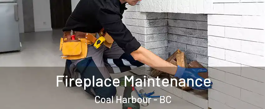  Fireplace Maintenance Coal Harbour - BC