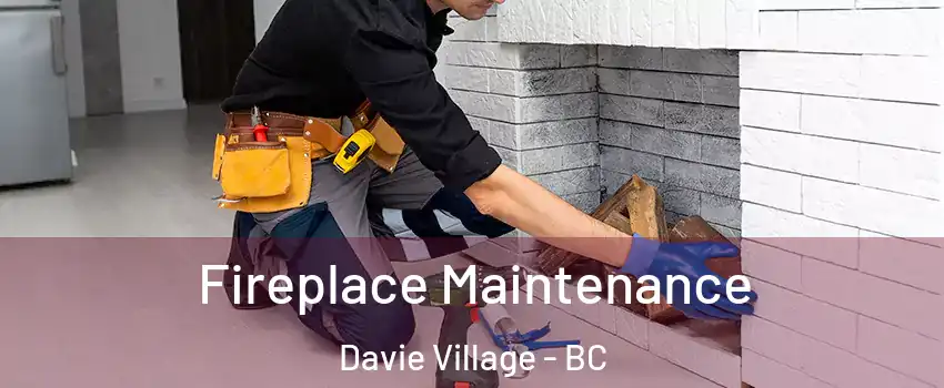  Fireplace Maintenance Davie Village - BC