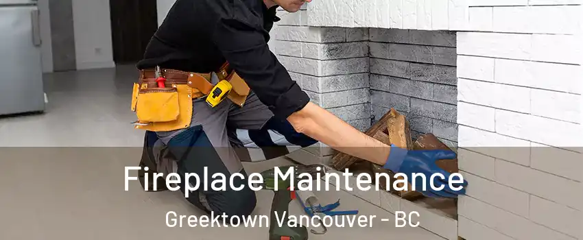  Fireplace Maintenance Greektown Vancouver - BC